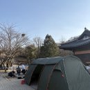 그랜드정육점 | 김포 캠핑장 그랜드파파 솔직 후기 한옥뷰 + 숯불삼겹살 + 감자탕까지 찐캠핑 브이로그