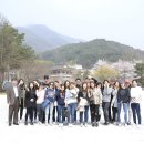 사과나무치과 이미지