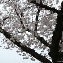 대학교 익산캠퍼스 이미지