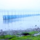 고흥나루터 이미지