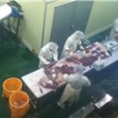 농고목장 이미지