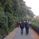 통영바다정원 이미지