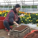 동중농장 이미지