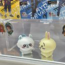 예랑서점 이미지