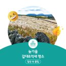 화산복권판매점 이미지