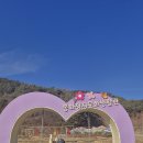 2025.12.15. 분천역 ~ 철암역간 운행하는 협곡열차 타고 열차여행 이미지