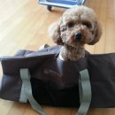 곡성-233 이미지