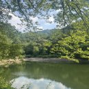 [공주 카페] 저수지 뷰가 예술인 ‘엔학고레’ 부모님, 아이와 3대 가족 방문 솔직 후기 (ft. 초보...