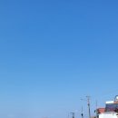 무릉2리(인향동) | 안드레아의 제주올레길 11코스 모슬포~무릉 올레 2023-02-04
