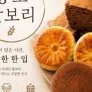 통도찰보리