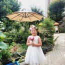 다모아유치원 이미지