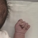다룸네일 | 동작구 사임당 산후도우미 3일만에 해지한 후기(긴글주의)