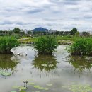 파크자연약국 이미지