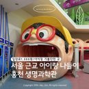 군민무료영화상영 | 홍천 비 오는 날 아이랑 가기 좋은 곳 홍천생명건강과학관