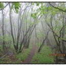 외포초교 뒤 이미지