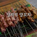 타임빌 | 수원 호매실 맛집 양치기 양꼬치 19900원 무한리필 내돈내산
