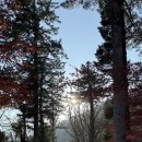 불심약수터 | 아이랑 합천 해인사 늦가을 나들이 대구 짬뽕지존 솔직 후기