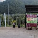 다래골펜션 이미지