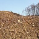 무주읍225 이미지