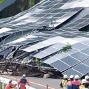 숲 태양광발전소 이미지