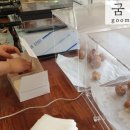 함양과자점 이미지