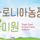 아미원