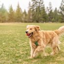 선릉동물병원 이미지