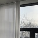 하엘리