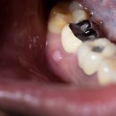 바른본치과의원 이미지