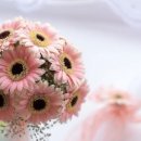 성공과 행복 이미지