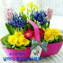 좋은아침 Daum카페