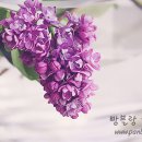 오늘그집 티스토리