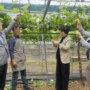 소전2리 이미지