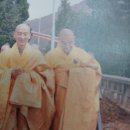 광덕1로2 Daum카페