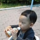 박초코 이미지