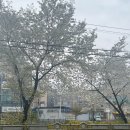 [천안 루미너스헤어] 천안커트 옴브레염색 후기