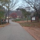 자개1리마을회관 | 금북 석문 강터분맥 당진; 영탑사-분기점-강터산(150.6봉)-서낭당고개-쑥고개-둔군봉(137.3m)-32번국도...