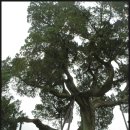 마장3리 이미지