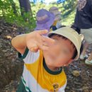 새싹몬테소리 어린이집 이미지