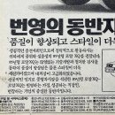 로얄광고 - 영도구 태종로 338 | 로얄광고