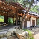 라드라비 이미지