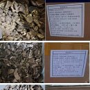 이레상사 이미지