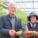 대저토마토산지유통센터 이미지