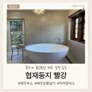 빨강문 | [제주숙소] 아이와 함께 머무는 "제주협재둥지 빨강" 숙소 후기
