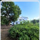 애견천국 이미지