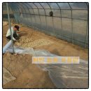 하민농장 이미지