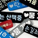 우아한강아지 이미지