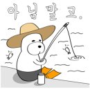 갈라파고스프리다이빙