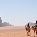 유)파파야 이미지