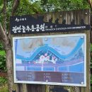 늘푸른공원 농구장